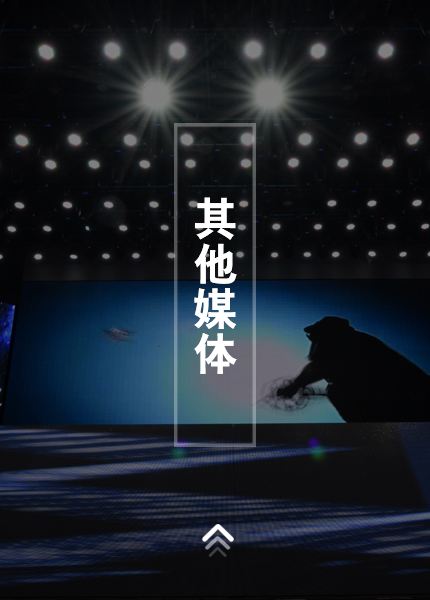 其他媒体